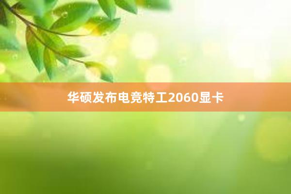 华硕发布电竞特工2060显卡