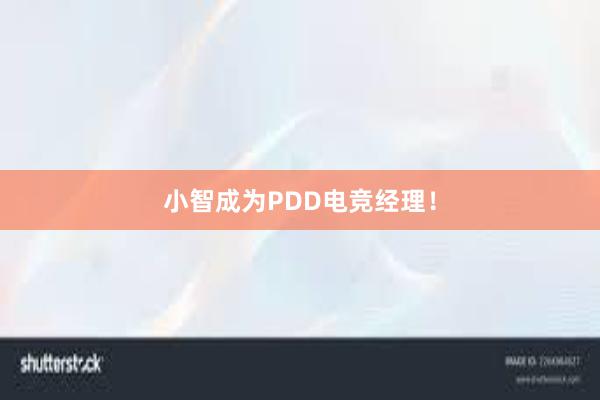 小智成为PDD电竞经理！