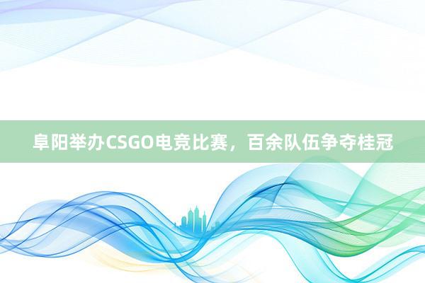 阜阳举办CSGO电竞比赛，百余队伍争夺桂冠